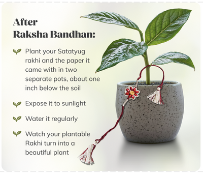 Greek Kunafa Balls + Rakhi