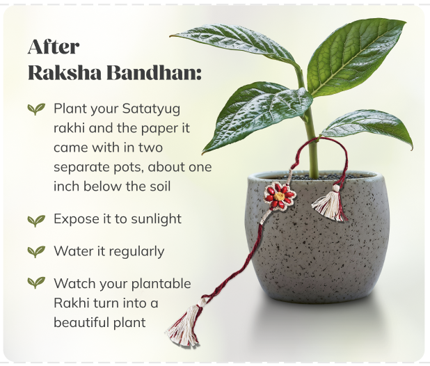 Greek Kunafa Balls + Rakhi